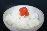 �C�J�̉��h