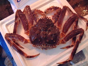 �A�u���K�j