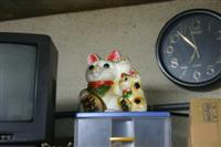 ���s�̋���