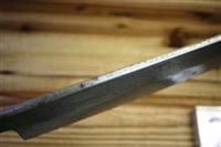 ���s�̋���