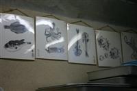 ���s�̋���