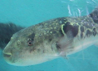 ���܂茩��Ȃ�`�`�`