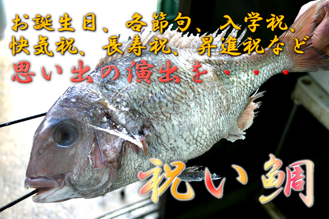 祝い鯛 鯛の塩焼き