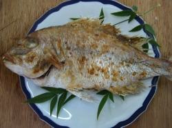 ��̉��Ă��@�j����